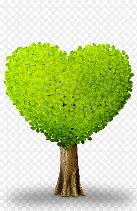 心脏植物下载绿色化学元素-心树