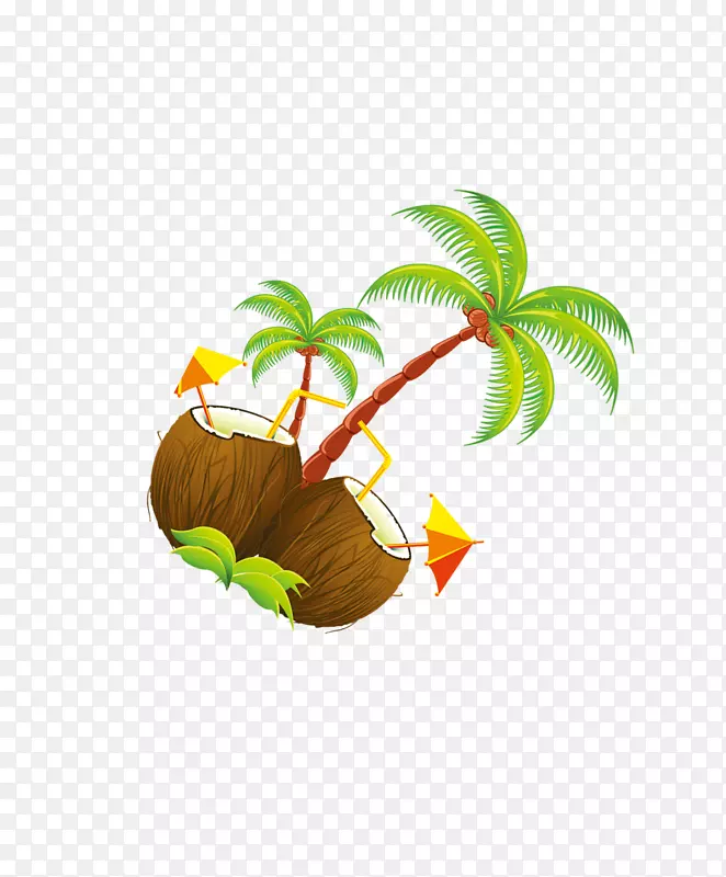 椰子树插图-可可卡通
