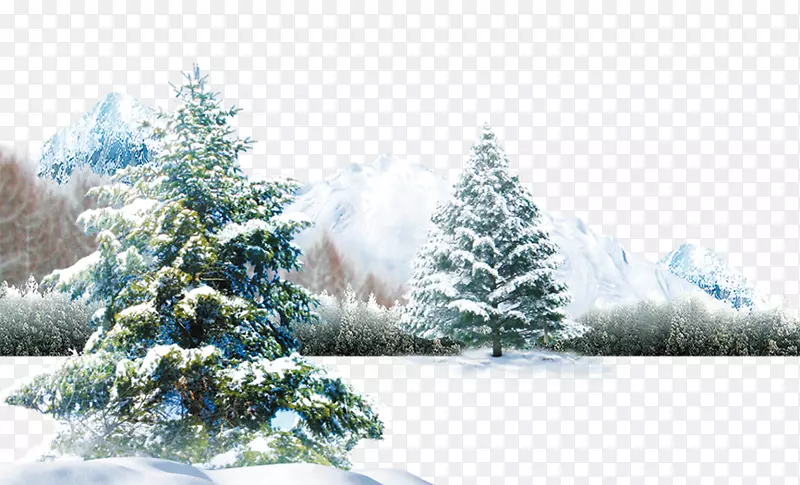 北极熊冬季灯光壁纸-冬季场景