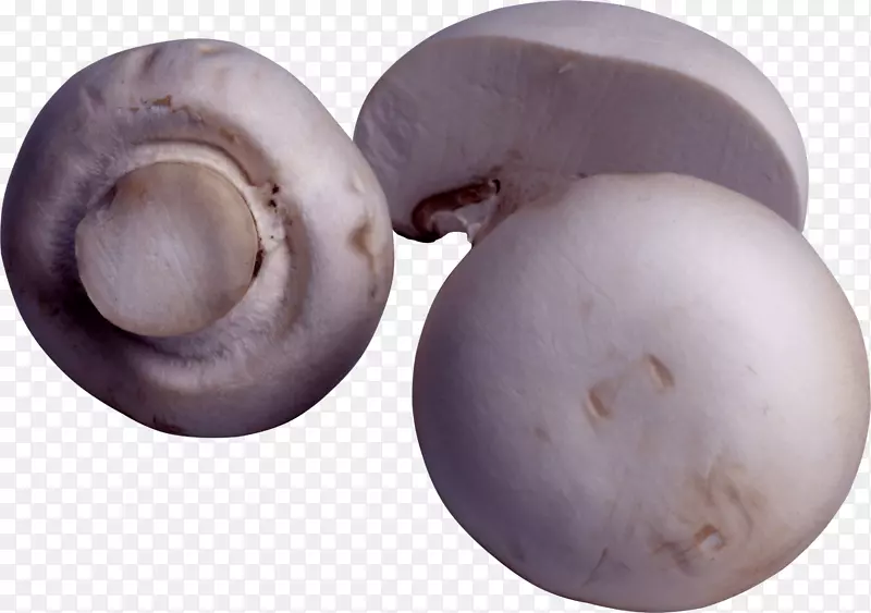 食用菌革氏囊菌食品-蘑菇PNG图像