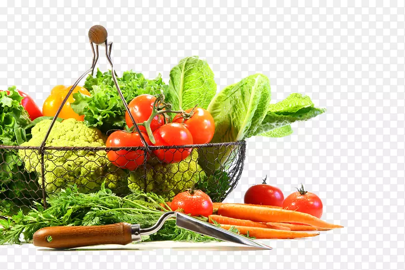 有机食品蔬菜水果剪贴画-蔬菜PNG图像