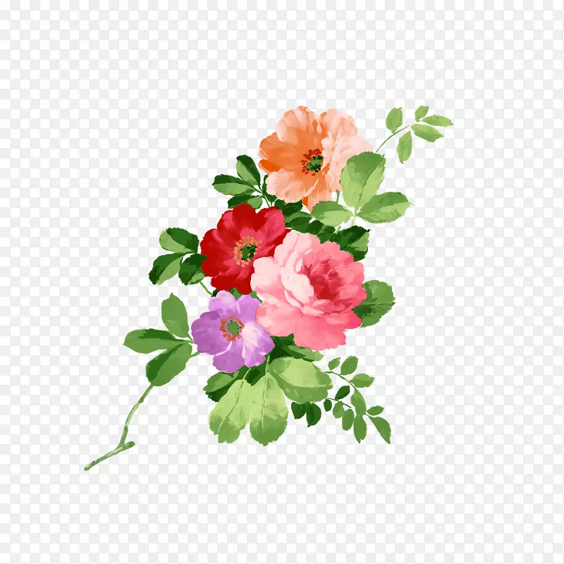 花卉下载-手绘花卉PNG图片素材下载_图片编号30169-PNG素材网