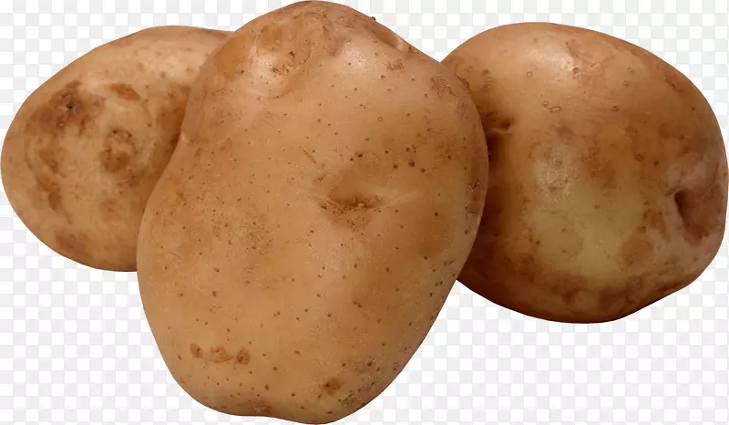 红薯蔬菜-马铃薯PNG图像