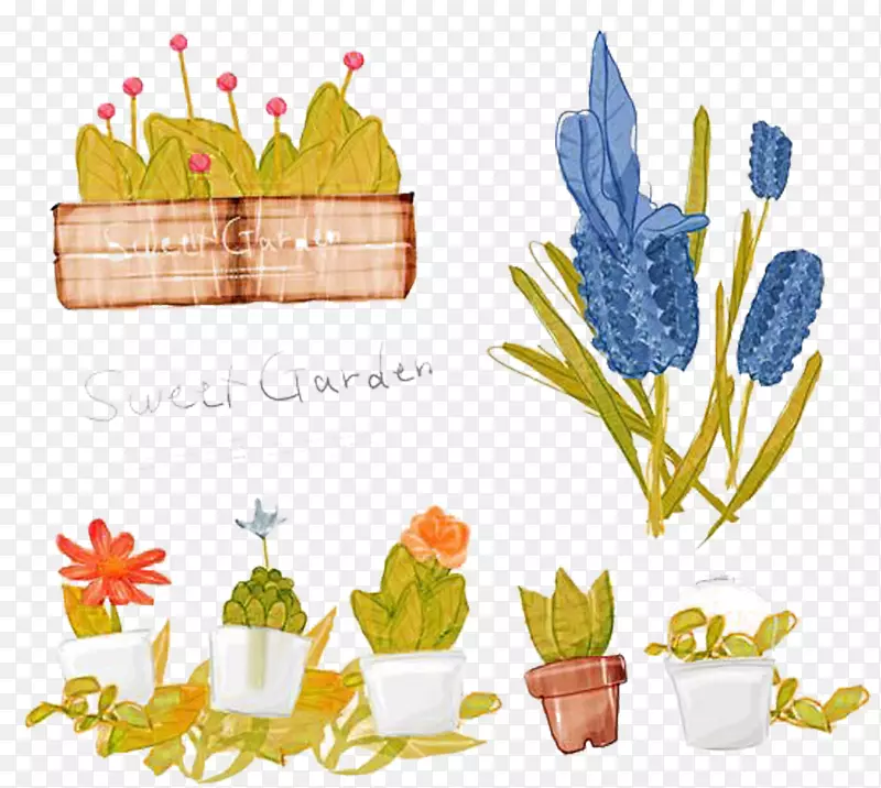 盆景植物插图-友谊风信子图片材料