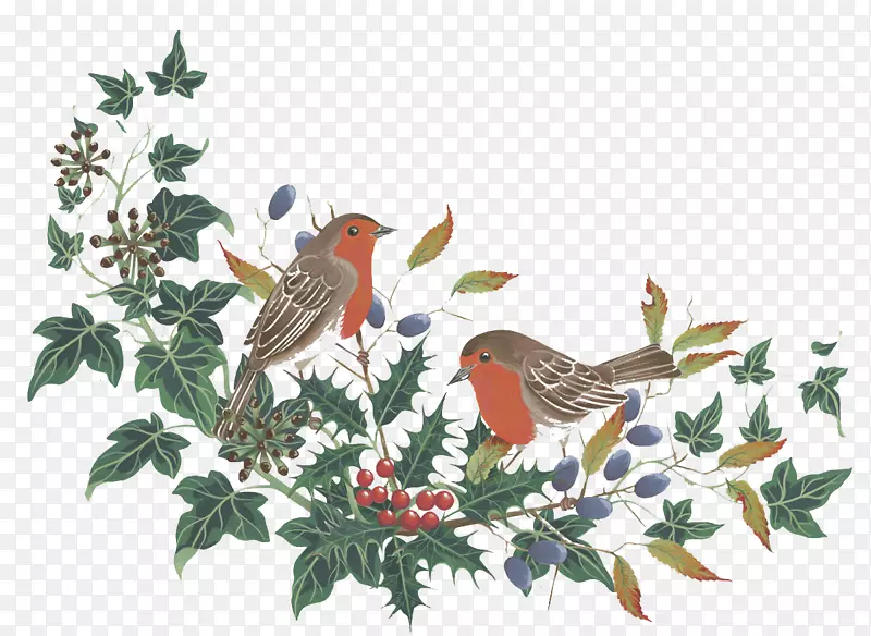 手绘花鸟冬季图案
