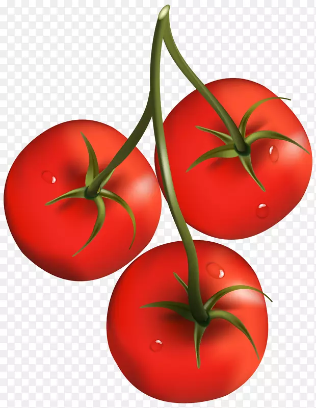 樱桃番茄蔬菜剪贴画-番茄PNG