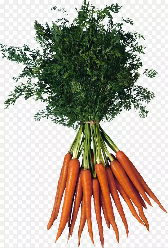 种植蔬菜胡萝卜-胡萝卜PNG图像