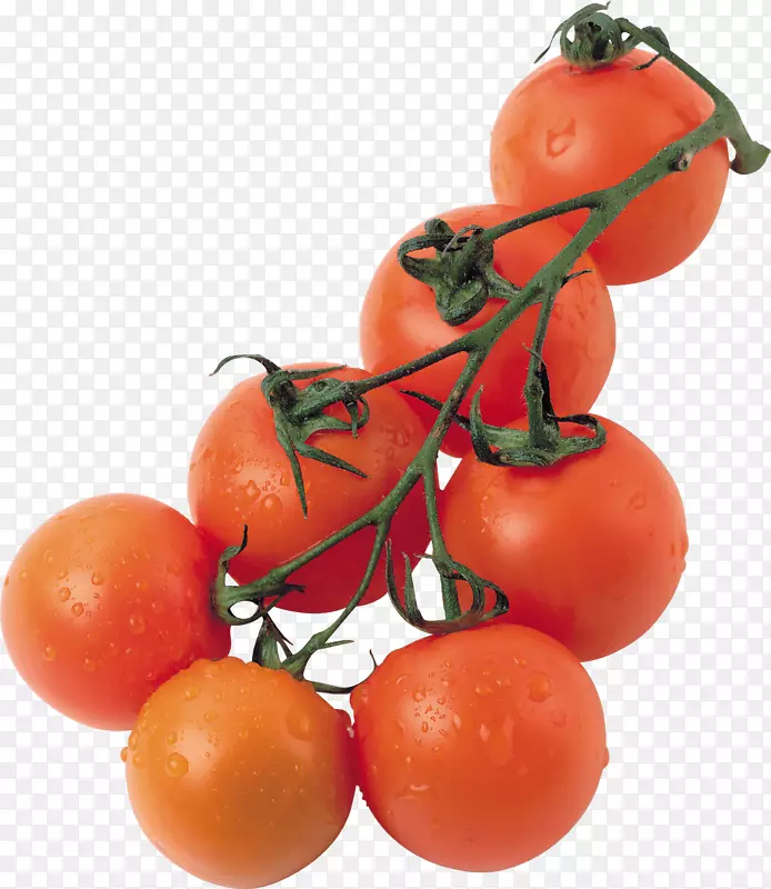 樱桃番茄意大利面有机食品比索番茄酱-番茄PNG图像
