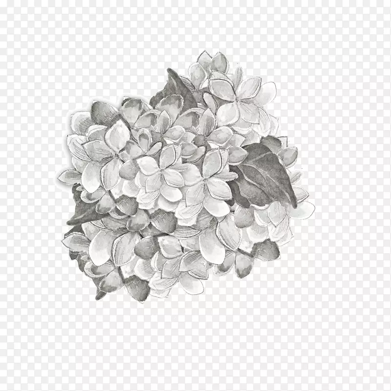 黑白花瓣-灰色植物栽培