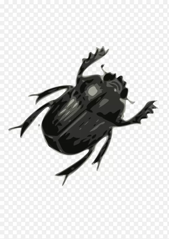 甲虫剪贴画-虫PNG图像