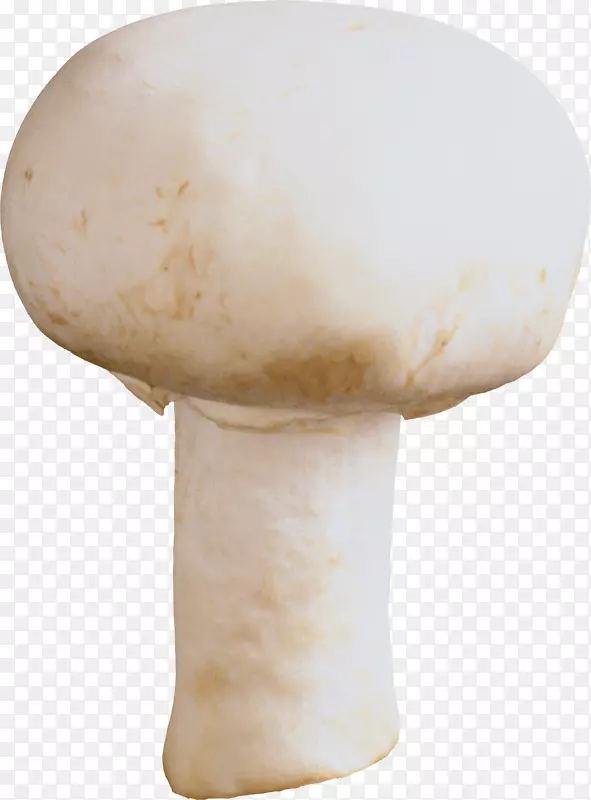 蘑菇-蘑菇PNG图像