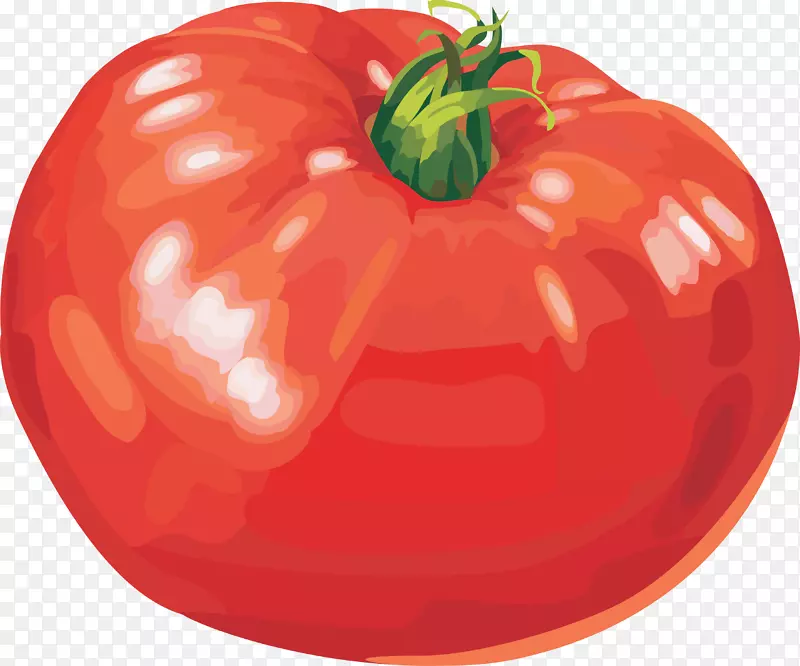 番茄剪贴画-番茄PNG图像