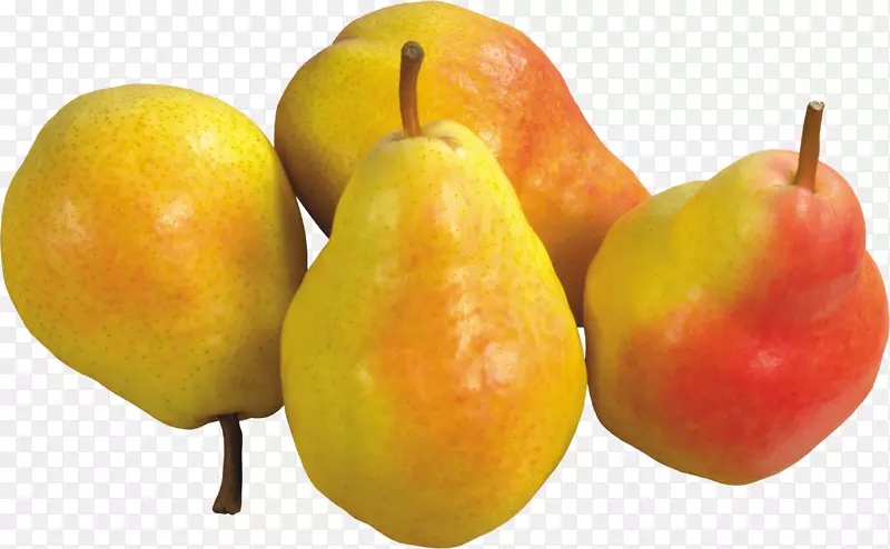 苹果酒酥梨PNG图像