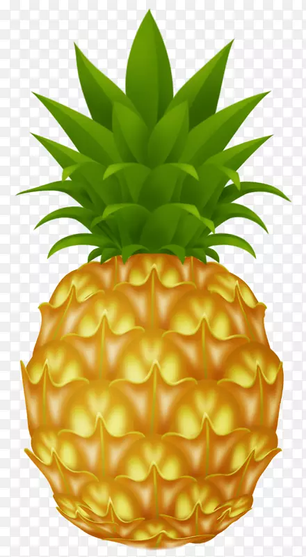 Pia colada果汁菠萝剪贴画-菠萝PNG图片，免费下载