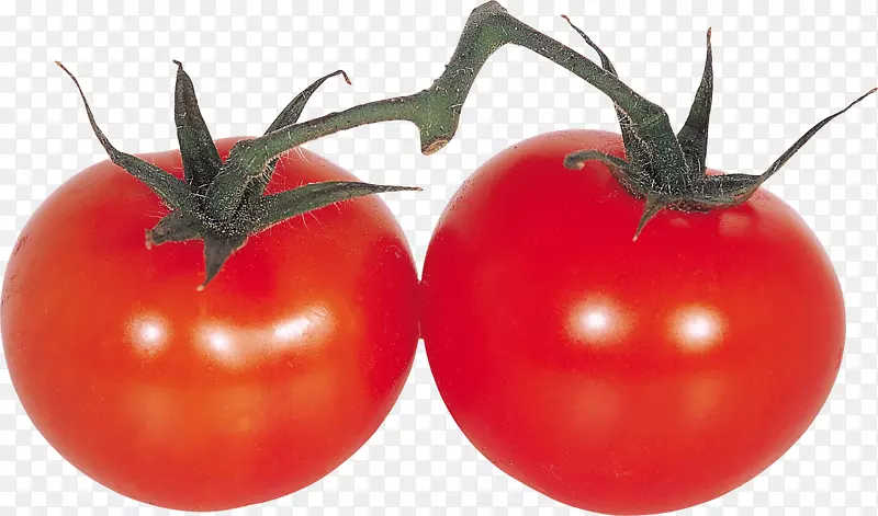 蔬菜水果樱桃番茄-番茄PNG图像