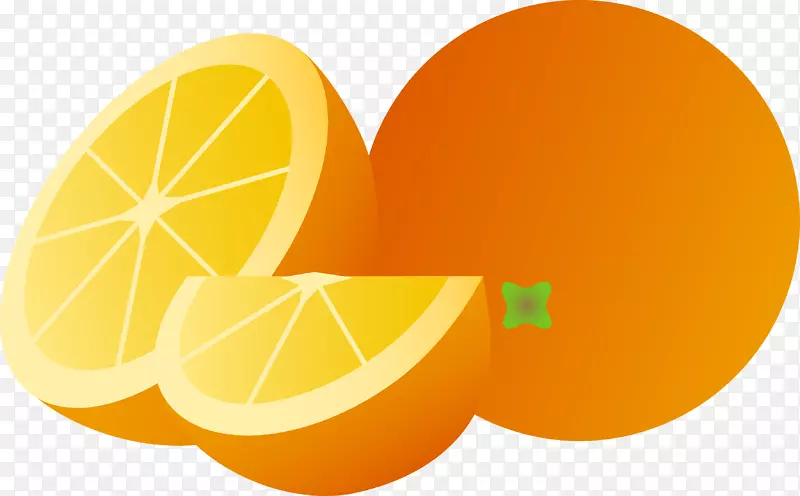 橙汁柠檬片艺术-橙色PNG图片，免费下载