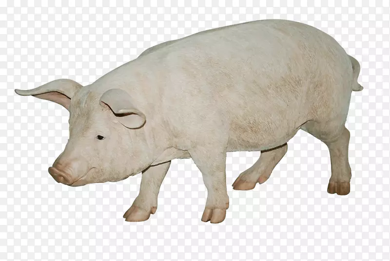 大型黑猪养猪场-猪PNG形象