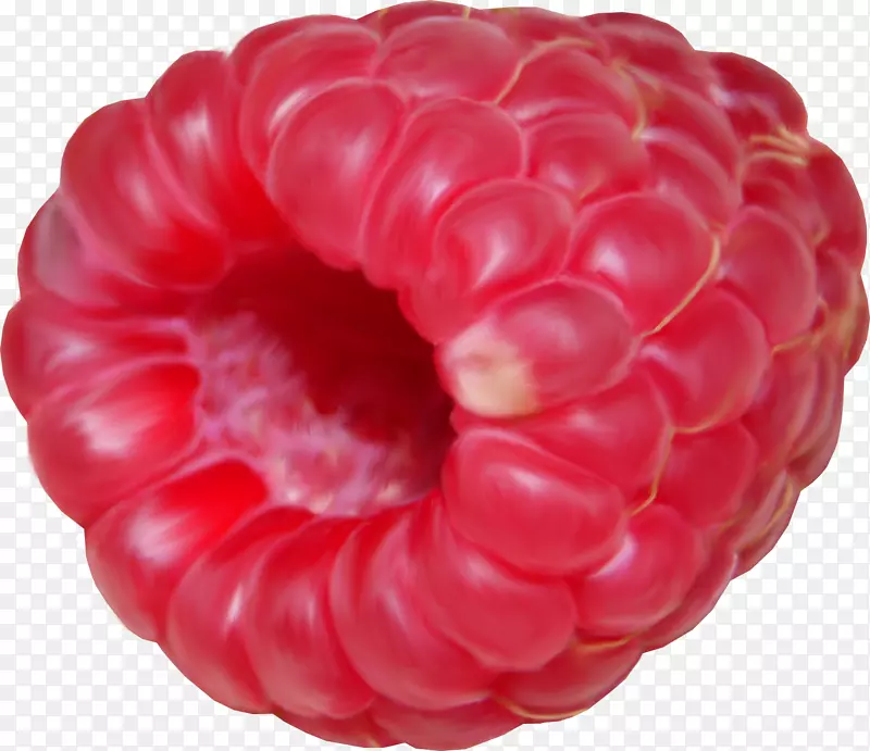 弗鲁蒂迪博斯科覆盆子果-rraspberry png图像