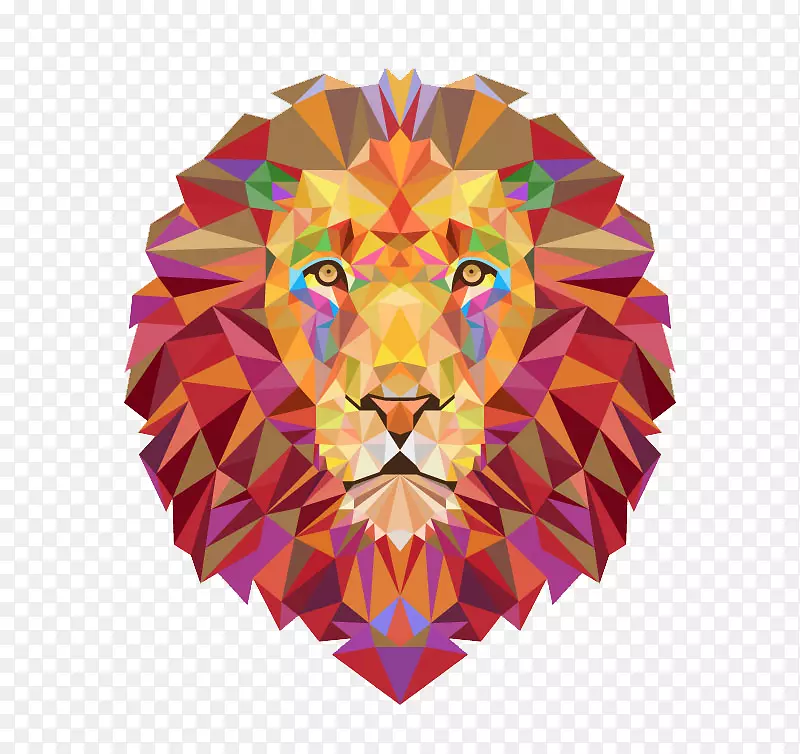 狮子t恤老虎插图彩色狮子