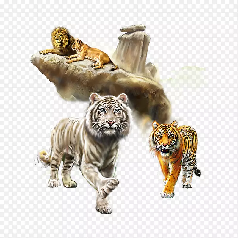 虎狮水彩画猫狮集
