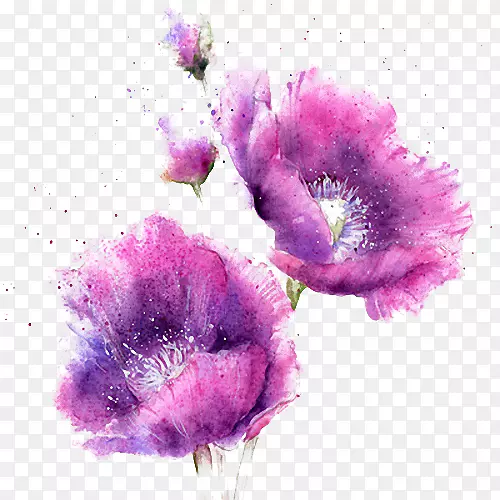 水彩画.水彩紫色花
