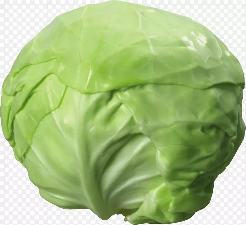 白菜炖红卷心菜-白菜PNG图像