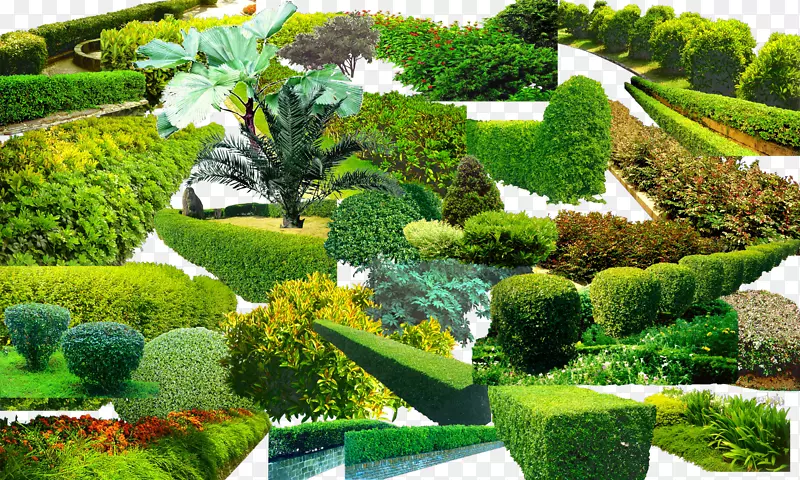 园林绿化植物-绿草采集