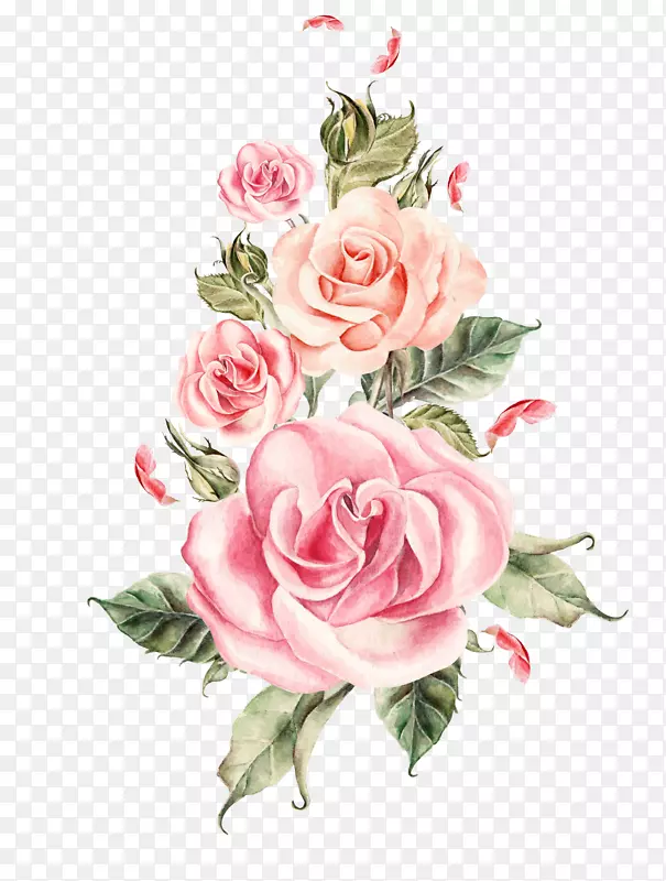 婚礼玫瑰花-手绘粉红玫瑰花束