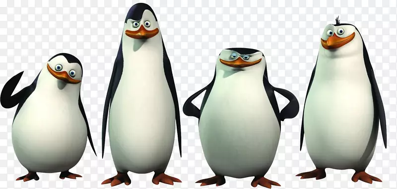 企鹅马达加斯加动画剪贴画-马达加斯加企鹅PNG