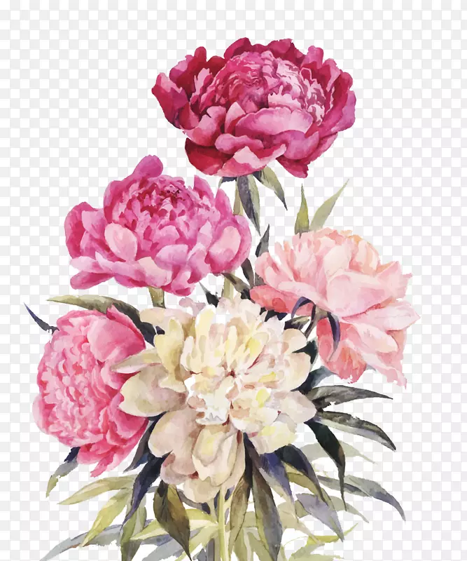 牡丹花束图-粉红色和红色的花
