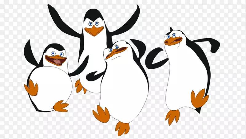 企鹅马达加斯加绘画剪贴画-马达加斯加企鹅PNG