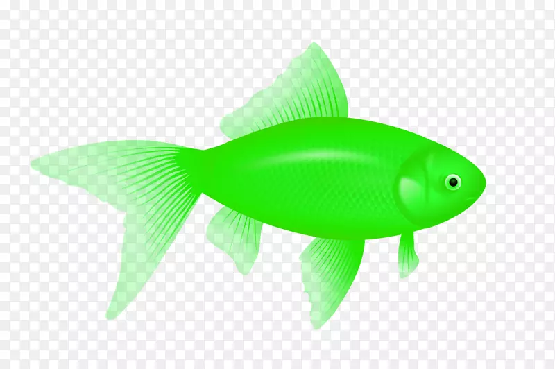 鱼类图标计算机文件-绿色鱼类png图像