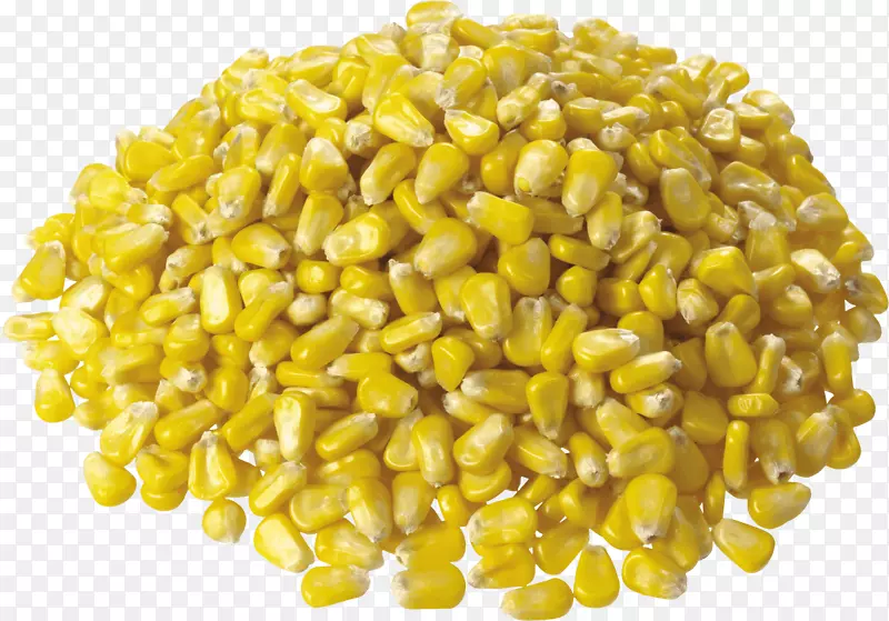 玉米甜玉米-玉米PNG图像