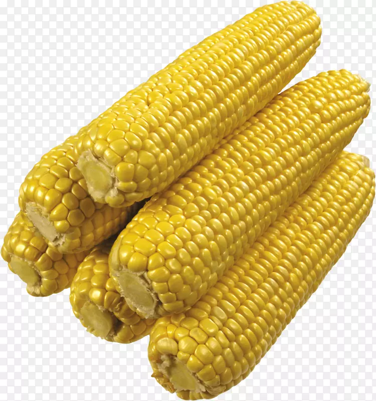 玉米芯上的玉米-玉米PNG图像