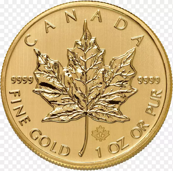 加拿大金枫叶金币-金币PNG图像