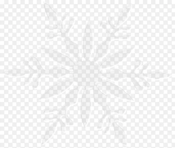 对称线角黑白图案-雪花PNG图像