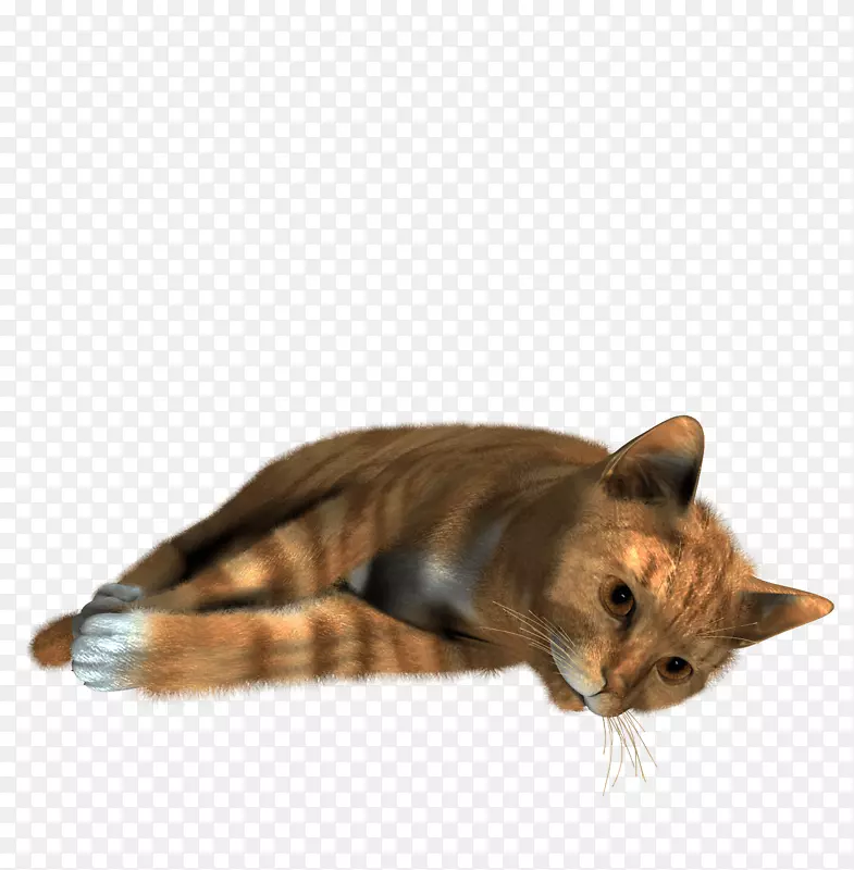 猫剪贴画-猫PNG图像