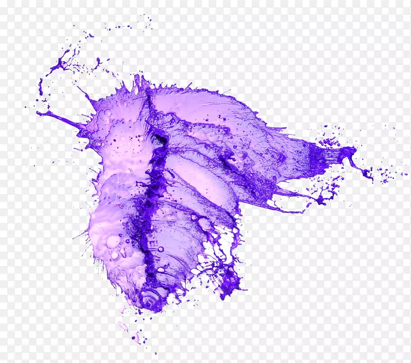 紫溅水