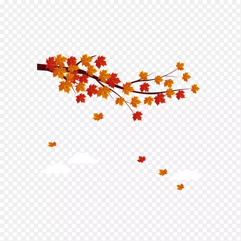 秋枫叶