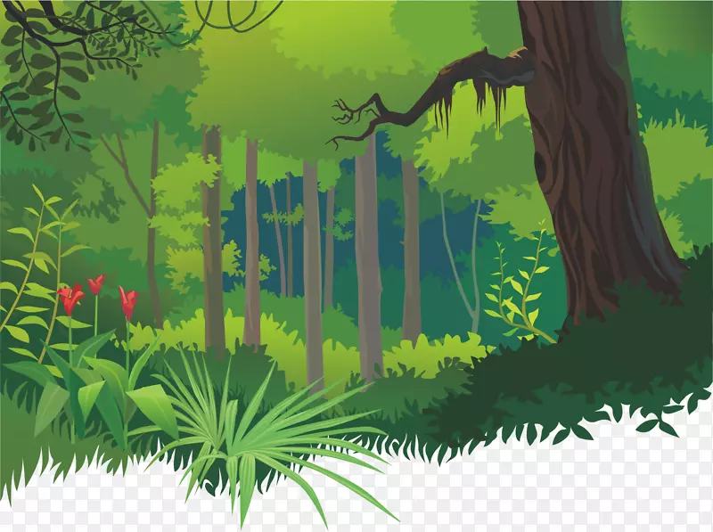 卡通热带雨林