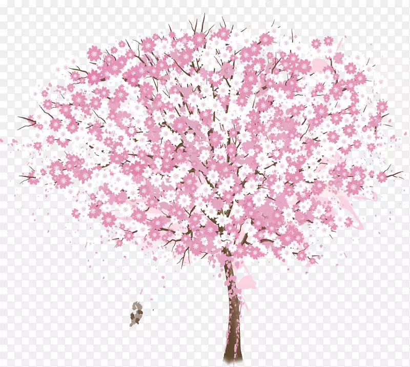 插图粉红树