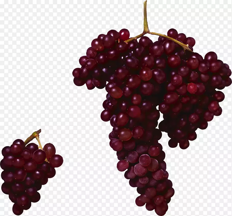红葡萄酒汁普通葡萄藤-红葡萄PNG形象