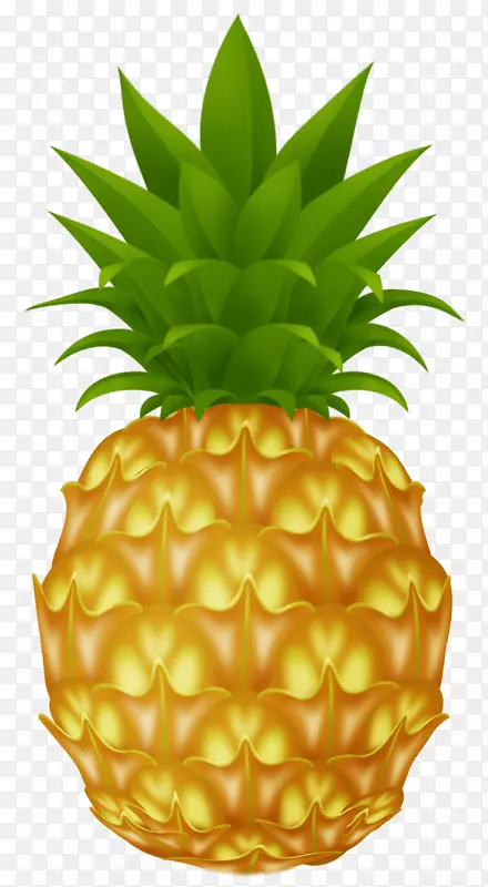 皮尼亚可乐果汁菠萝剪贴画-菠萝PNG图片下载