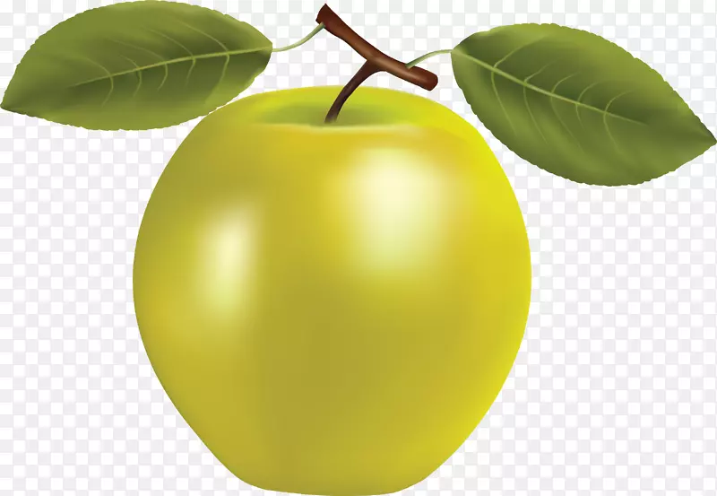 苹果奶奶史密斯水果图标-苹果PNG