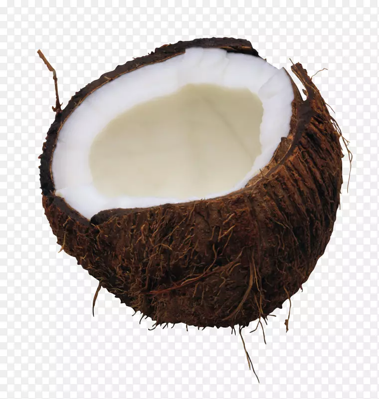 椰奶南瓜面包椰子油-椰子PNG图像
