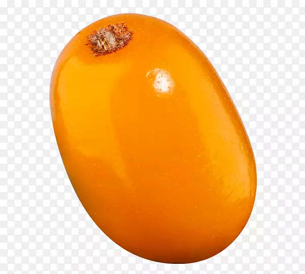 橙色冬瓜-沙棘PNG