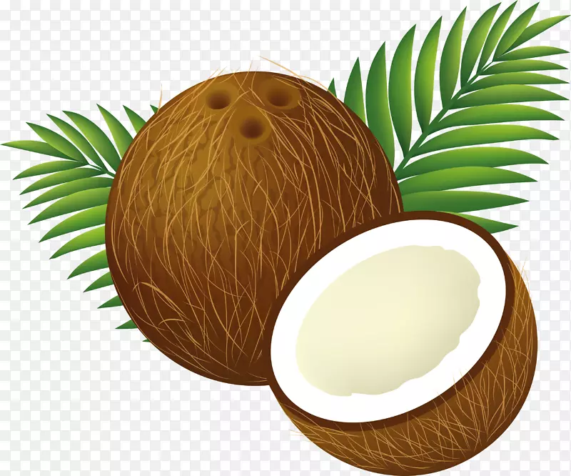 椰子水椰奶剪辑艺术-椰子PNG图像