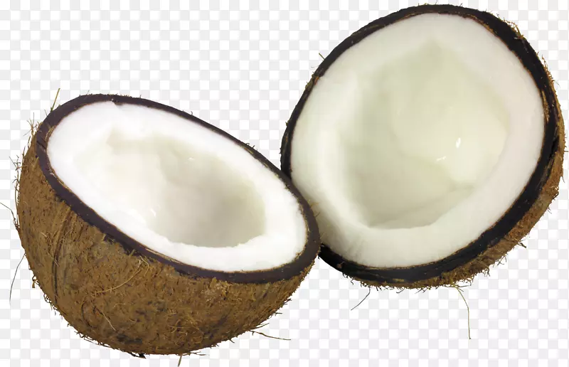 椰奶椰子棒椰子油-椰子PNG图像