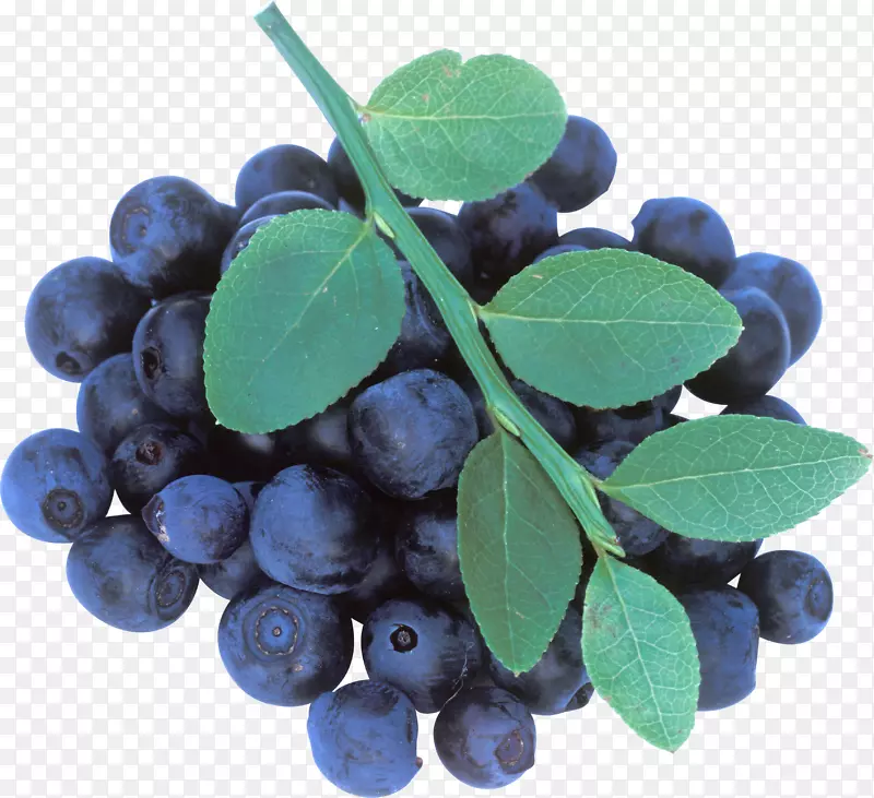 蓝莓茶-蓝莓PNG