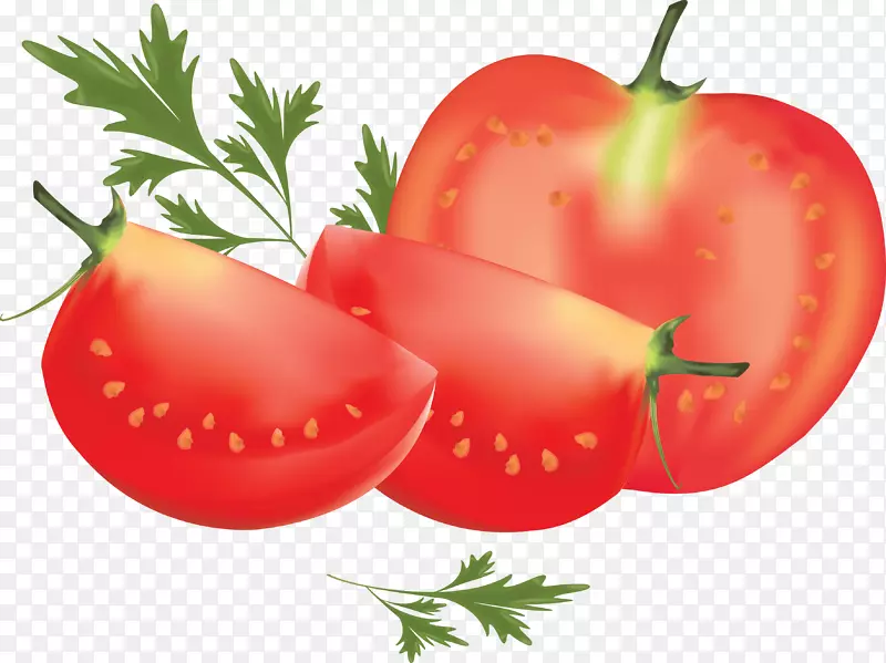蔬菜水果食品花椰菜-番茄PNG图像
